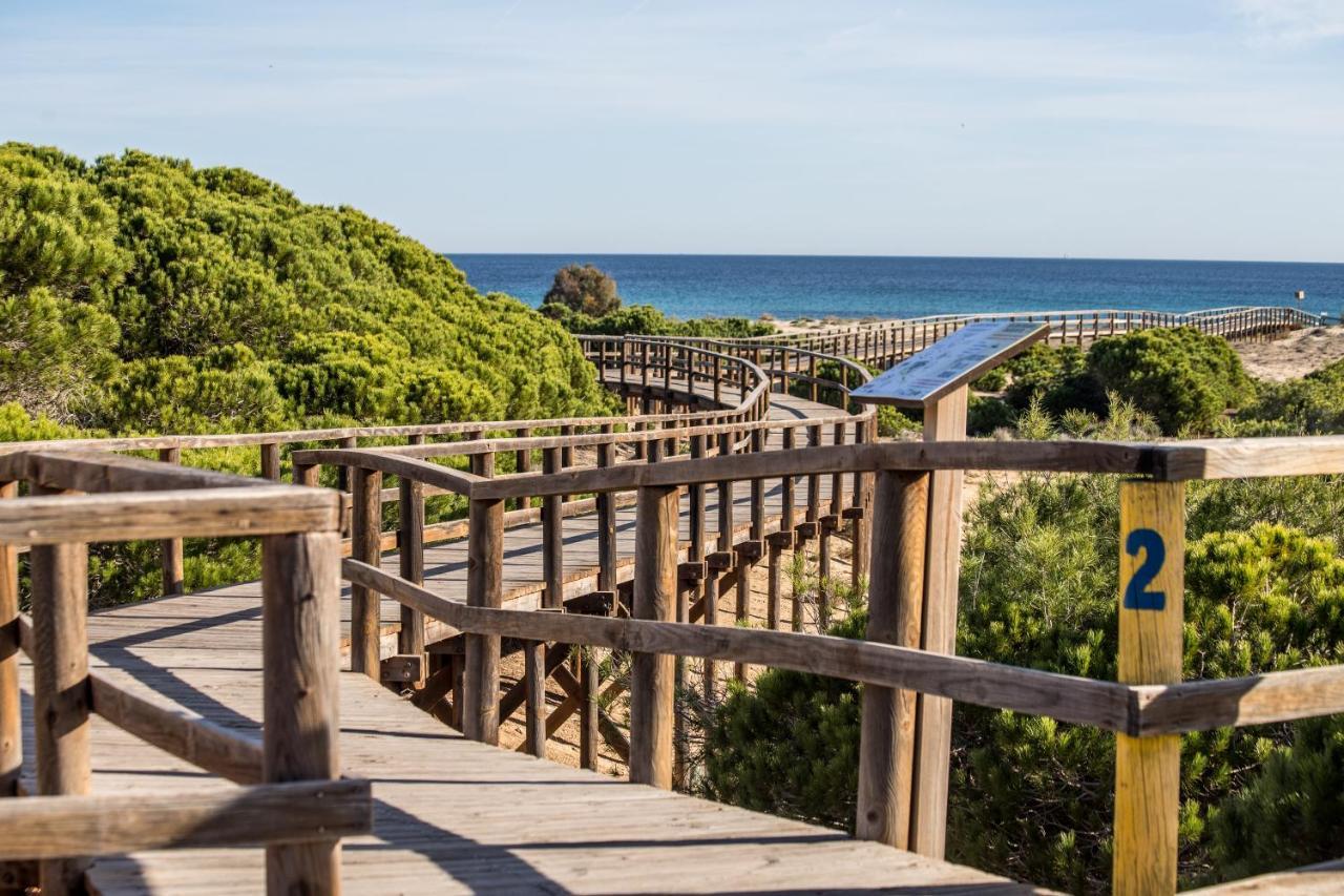 Vistas Al Mar Apartment Arenales del Sol Ngoại thất bức ảnh